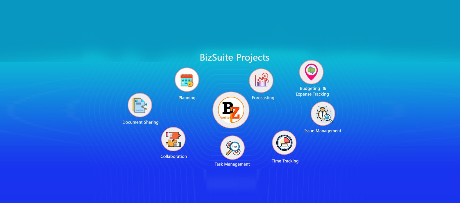 Bizsuite Projects